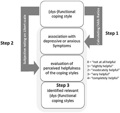 Coping Styles Among High School Graduates Aiming to Study Medicine in Dealing With Depressive and Anxious Symptoms